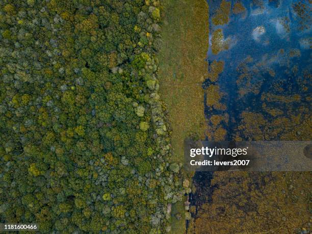 st. johns wood, lecarrow, county roscommon, ireland - ireland aerial stock pictures, royalty-free photos & images