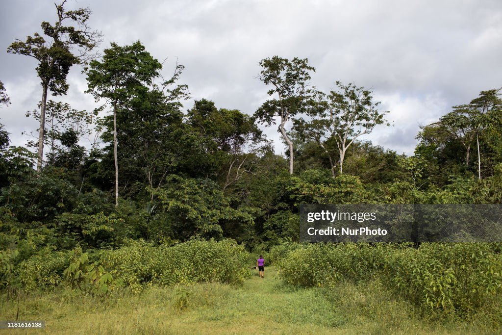 Landscapes Of French Guiana