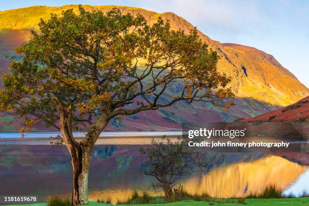 lake district - crummock water - buttermere - autumn - weather - cumbria - uk - keswick stock pictures, royalty-free photos & images