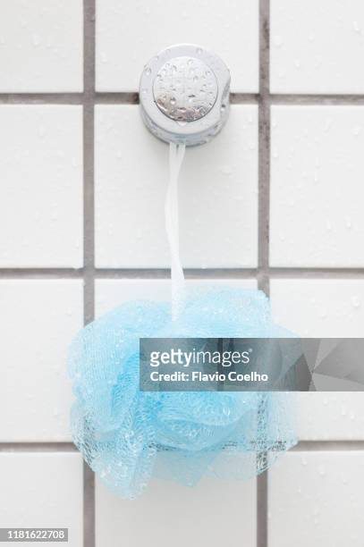 bath shower sponge loofah mesh - loofah stock-fotos und bilder