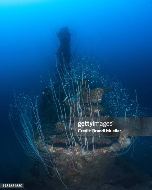 uss apogon submarine sunk in bikini atoll, marshall islands, from operation crossroads - bikini atoll 個照片及圖片檔