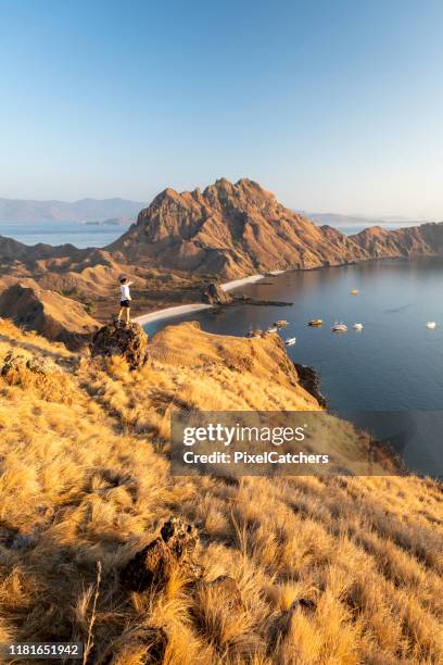 vrouw staan op rotsachtige uitsnede naar beneden gericht op de baai beneden - rocky coastline stockfoto's en -beelden