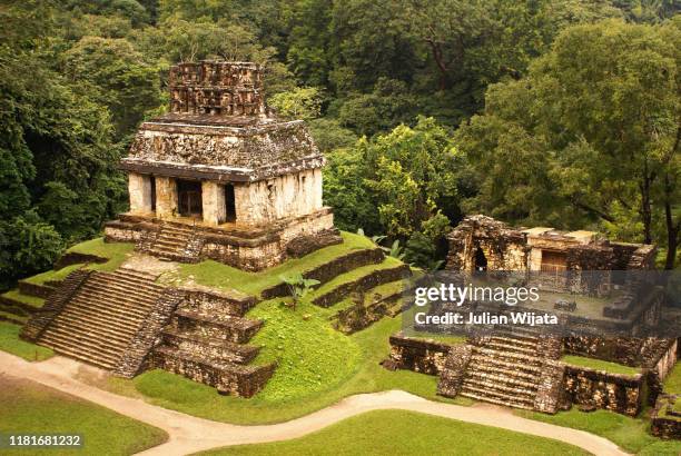 mayan temple in palenque - palenque stock-fotos und bilder