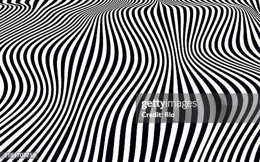 Warped Lines Black and White Pattern Warped Lines Black and White Pattern