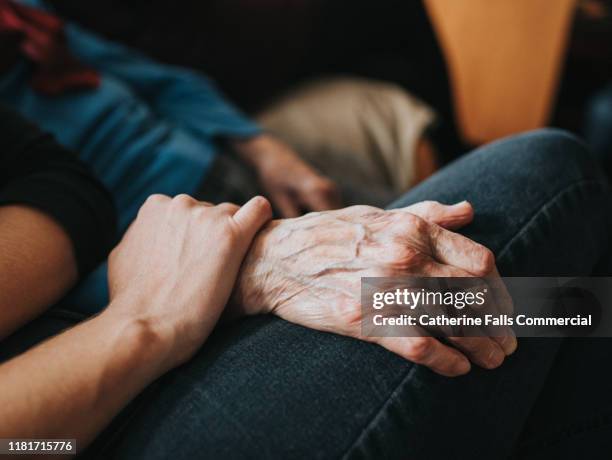 companion - caregiver and senior stockfoto's en -beelden