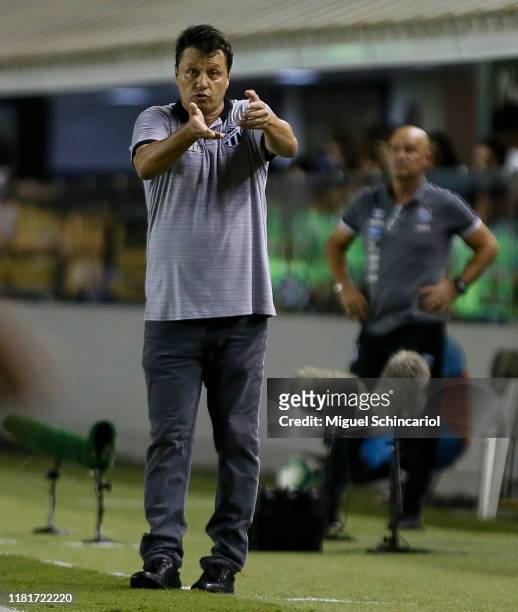 Adilson Batista team coach of Ceara gestures during a match between Santos and Ceara for the Brasileirao Series A 2019 at Vila Belmiro Stadium on...