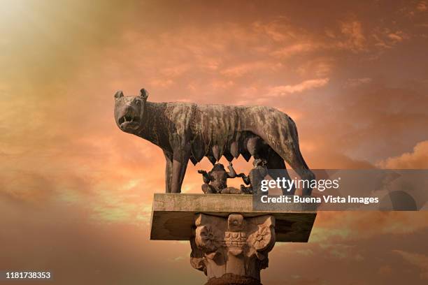 rome, the capitoline wolf statue. - wolves-roman-empire stock pictures, royalty-free photos & images