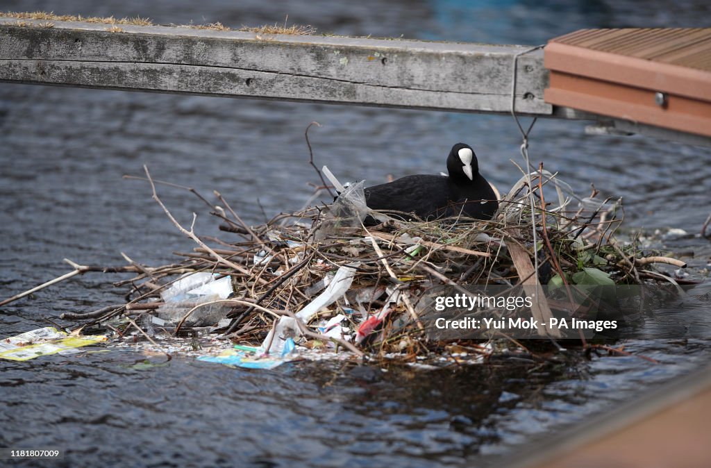 Nature Brid Breeding London