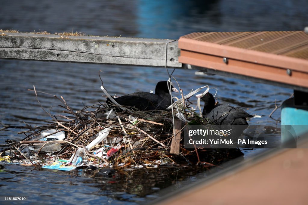 Nature Brid Breeding London