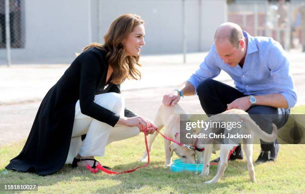 Catherine, Duchess of Cambridge and Prince William, Duke of Cambridge, with golden labrador puppies Salto and Sky as they visit an Army Canine Centre...