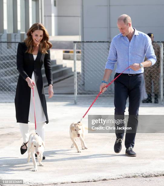 Catherine, Duchess of Cambridge and Prince William, Duke of Cambridge, with golden labrador puppies Salto and Sky as they visit an Army Canine Centre...