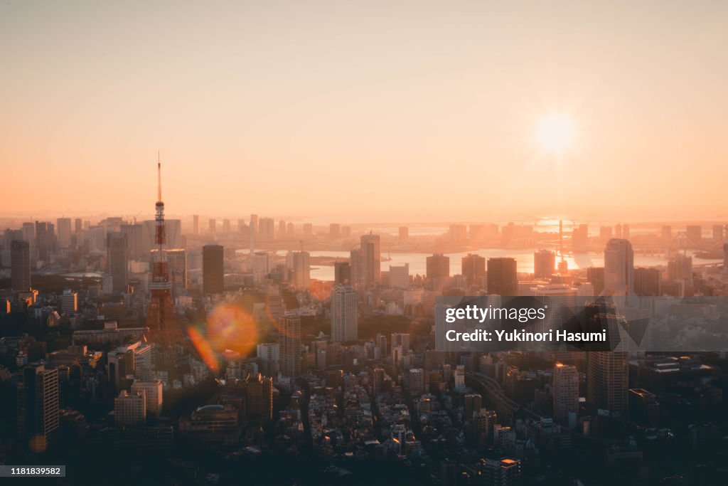 Tokyo Skyline at Early morning