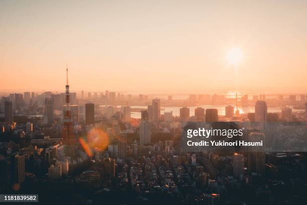 tokyo skyline at early morning - prefettura di tokyo foto e immagini stock