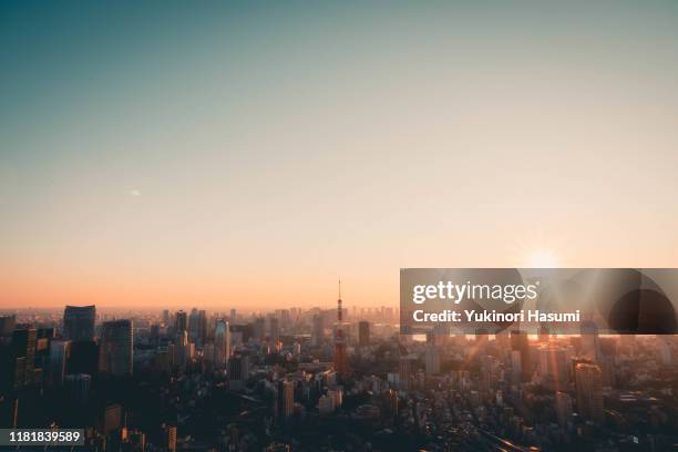 tokyo skyline at early morning - uitzicht over stadje stockfoto's en -beelden