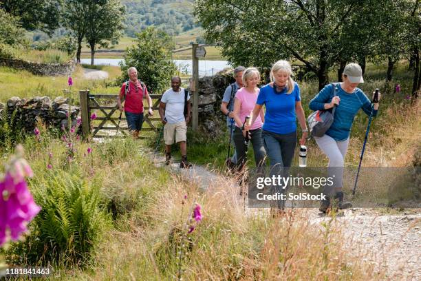 senior friends out walking in the lakes - walking through stock pictures, royalty-free photos & images