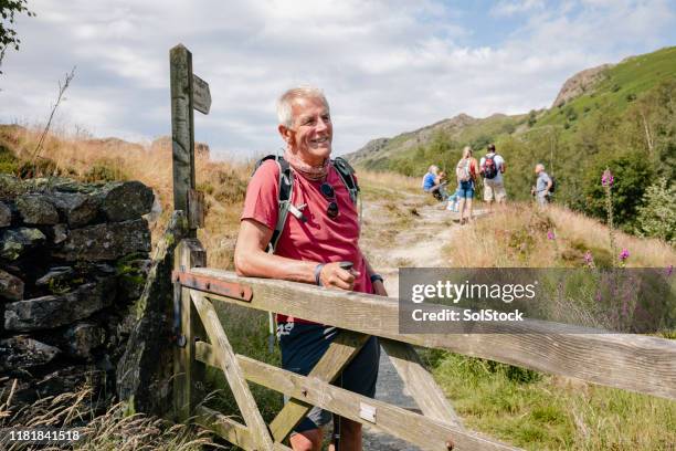 man looks out in the distance - wooden post stock pictures, royalty-free photos & images