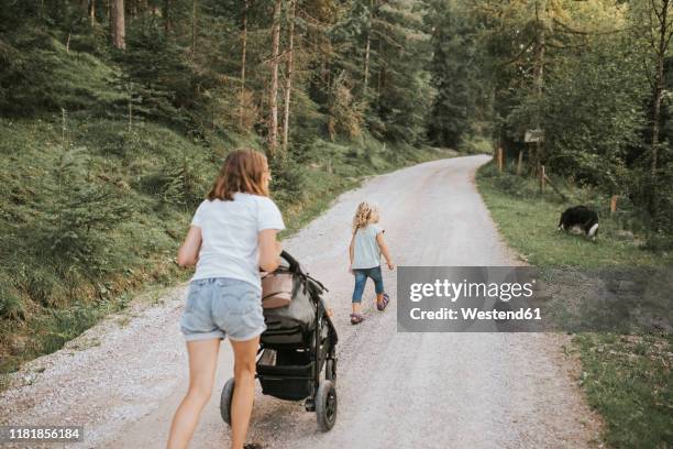 mother with daughter, stroller and dog walking on forest path - mum pushing pram stock-fotos und bilder