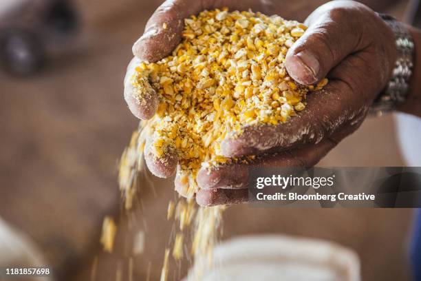ground corn maize - sweetcorn stock pictures, royalty-free photos & images