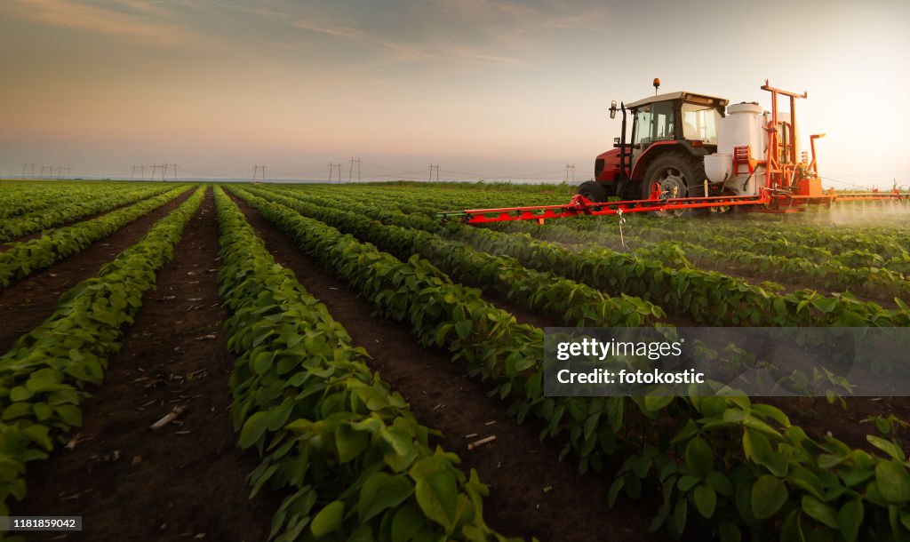 春の大豆畑に噴霧器で農薬を散布トラクター
