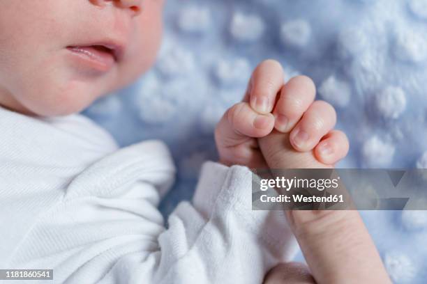 newborn baby boy holding finger - german born stock pictures, royalty-free photos & images