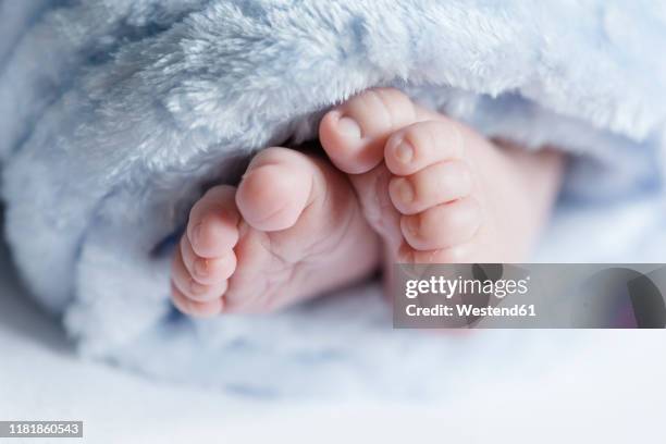 close up of feet of a newborn baby - baby boys stockfoto's en -beelden