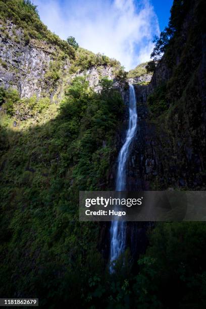madeira levada hike risco waterfall - madeira waterfall stock pictures, royalty-free photos & images