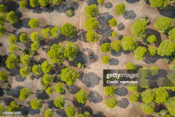 road with car in forest from above - off road vehicle stock pictures, royalty-free photos & images