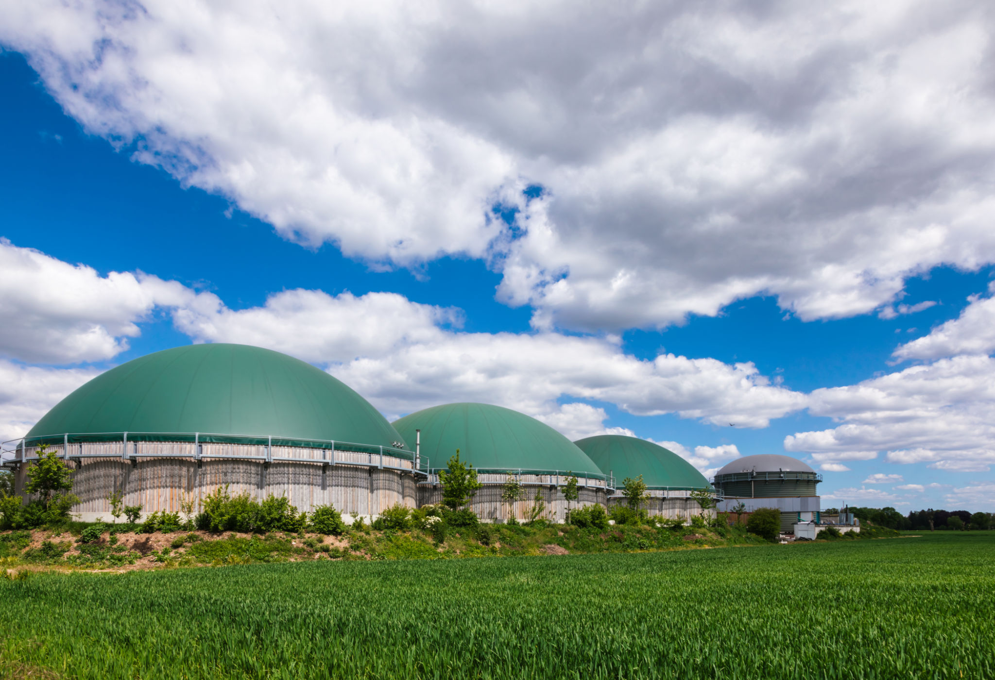 anaerobic digestion