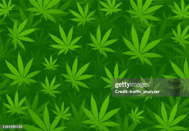 ilustraciones, imágenes clip art, dibujos animados e iconos de stock de fondo de marihuana - planta de cannabis