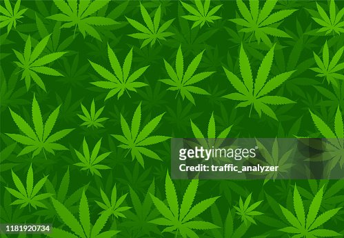 349 Smoke Weed Wallpaper Photos and Premium High Res Pictures - Getty Images