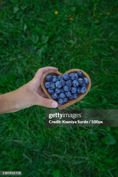 hand holding heart-shaped box with blueberries - surdo stock pictures, royalty-free photos & images