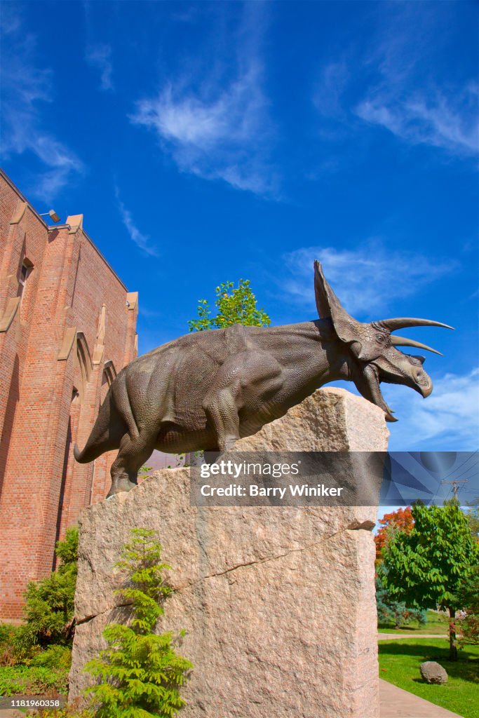 Torosaurus latus in front of The Yale Peabody Museum, New Haven