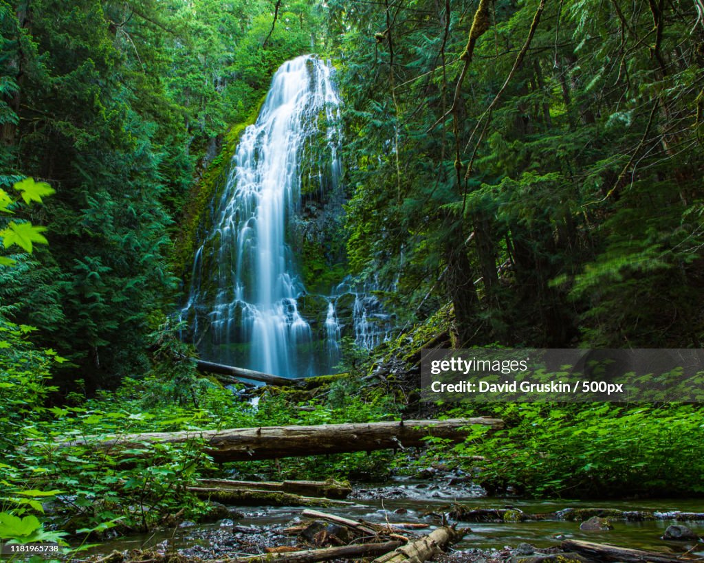 View of waterfall on forest