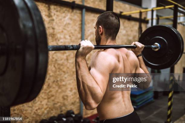 intense weight training - posterior view of arm muscles stock pictures, royalty-free photos & images