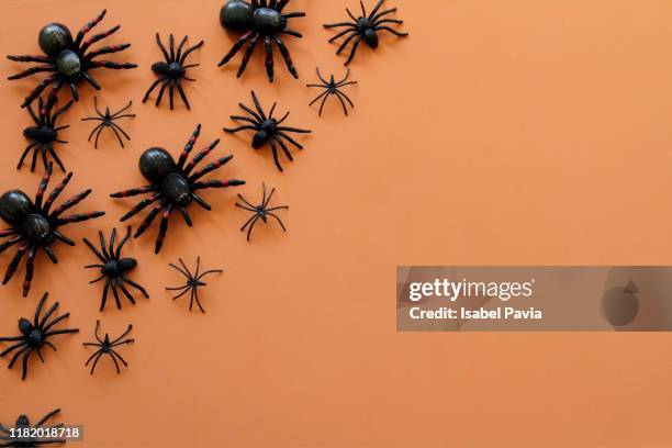 black spiders on orange background - spider stockfoto's en -beelden
