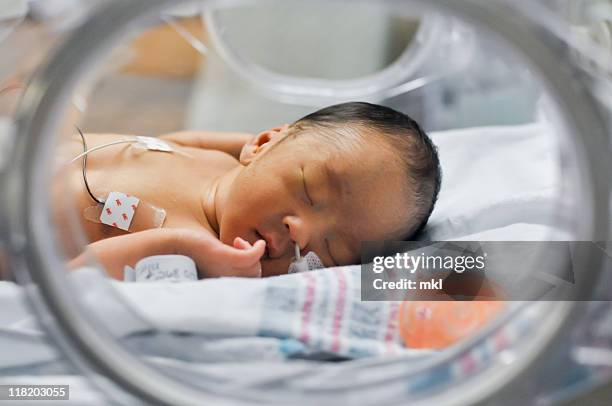 newborn baby in incubator - 新生児集中治療室 ストックフォトと画像