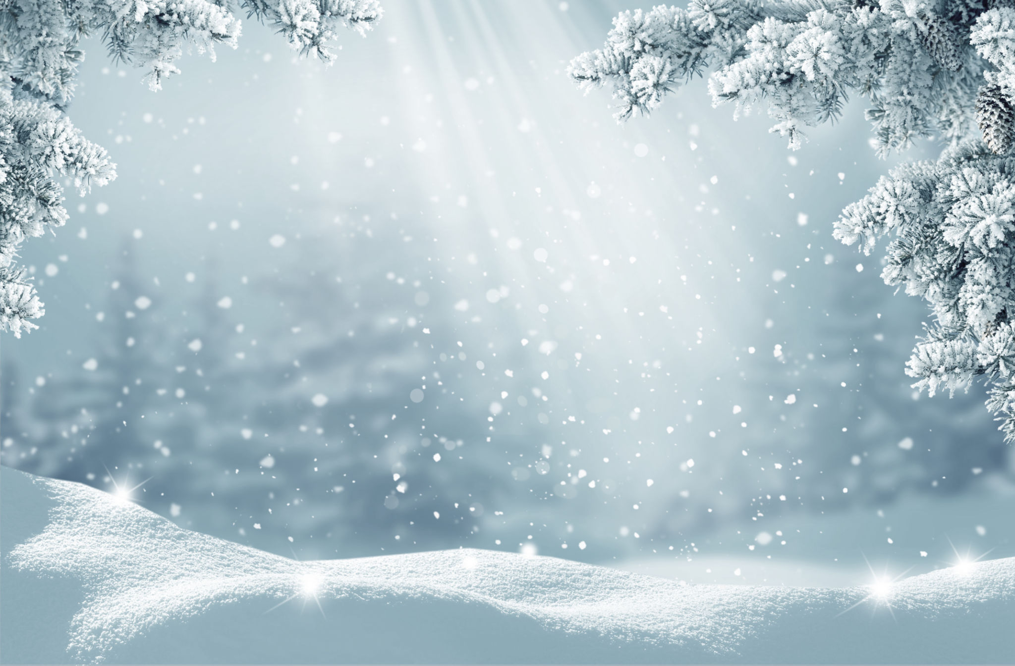 winter disney