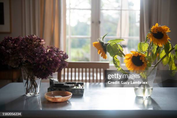 table with flowers in late afternoon sunlight - hydrangea lifestyle stockfoto's en -beelden