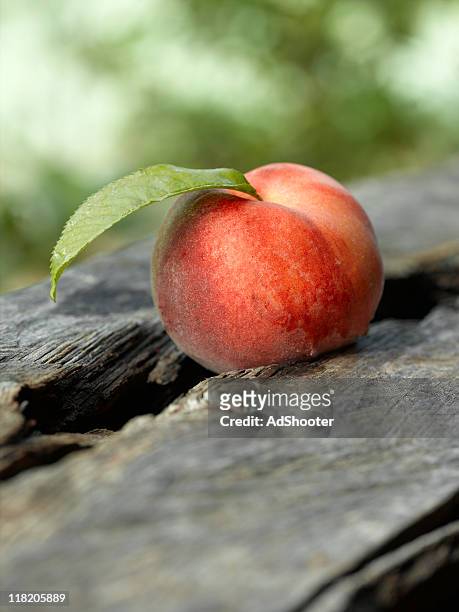 peach - peach tranquility stock pictures, royalty-free photos & images