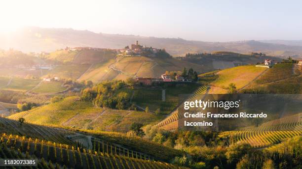 autumn in langhe region, piedmont, italy - barolo vinho imagens e fotografias de stock
