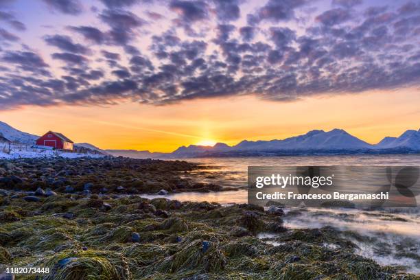 amazing clouds above a wild beach during sunset. - nordic sunrise stock pictures, royalty-free photos & images