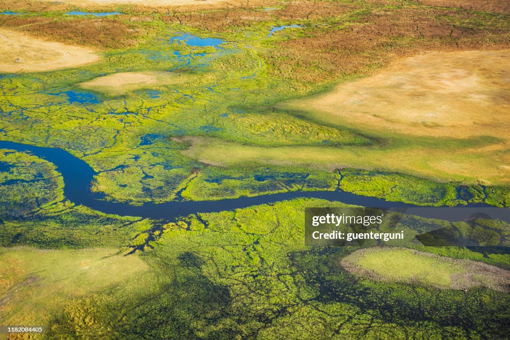 Aerial view of Okavango Delta, Botswana, Africa