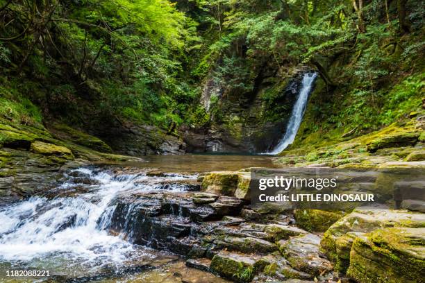 biwa-daki, akame 48 waterfalls - mie prefecture stock pictures, royalty-free photos & images