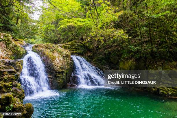 ninai-daki, akame 48 waterfalls - mie prefecture stock pictures, royalty-free photos & images