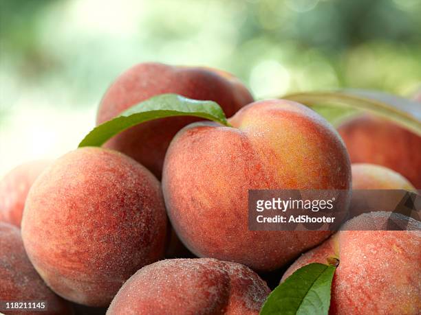 peaches - georgia country stock pictures, royalty-free photos & images