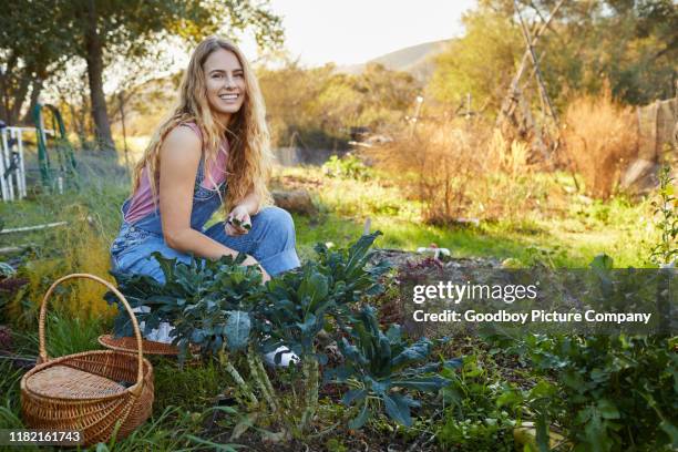 mulher nova que sorri ao trabalhar em seu jardim vegetal orgânico - green fingers - fotografias e filmes do acervo