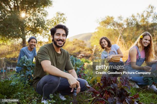 smiling young friends working in an organic vegetable garden together - community garden stock pictures, royalty-free photos & images