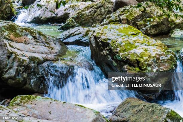 mountain stream and splashes. akame 48 waterfalls, mie, japan - mie prefecture stock pictures, royalty-free photos & images