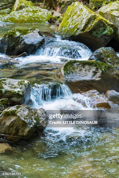 mountain stream and splashes. akame 48 waterfalls, mie, japan - präfektur mie stock-fotos und bilder