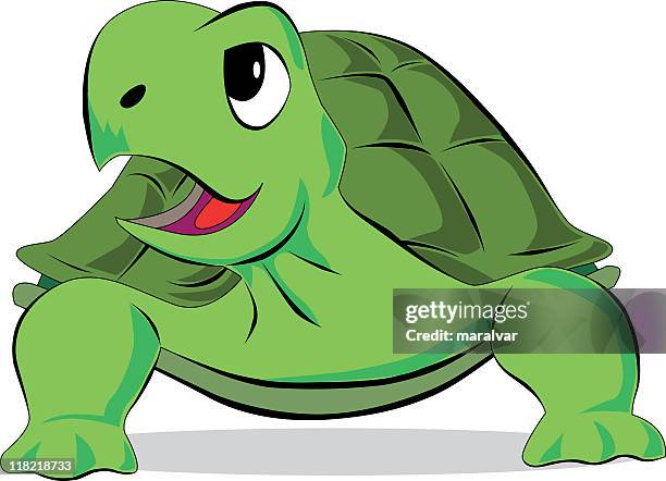 Turtle Shell Toon Cartoon Turtle Shell Photos and Premium High Res Pictures - Getty Images